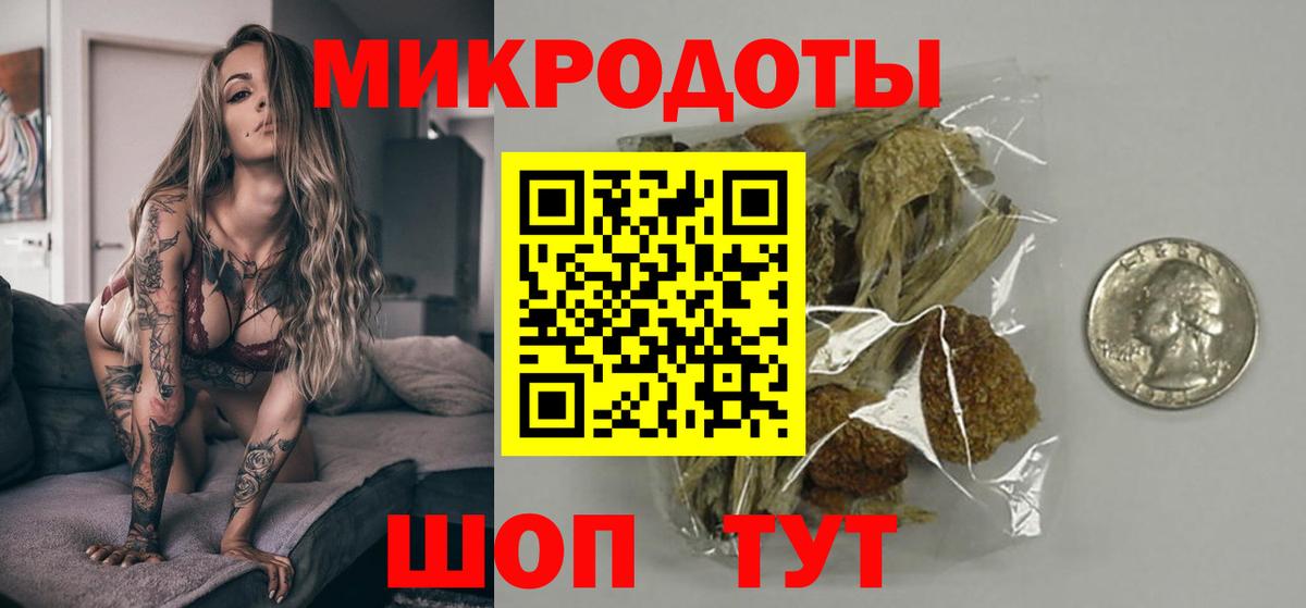 Псилоцибиновые грибы Psilocybine cubensis Якутск